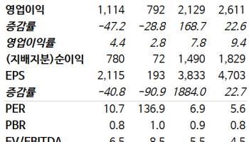 대한항공, 아시아나 합병 시너지 효과 기대…목표가↑-NH