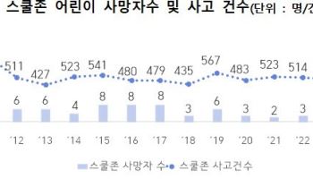 행안부, 스쿨존 교통사고 맞춤형 대책 마련…교차로·횡단보도 손본다