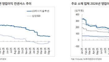 2차전지 업황 ‘새벽녘’…“실적 바닥 찍고 회복 초입”
