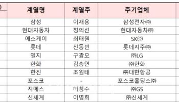 대기업 빚 744조…삼성, 차입금 규모 1위 올라서