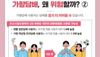 "청소년 흡연 관문 될 수 있어"…질병청이 경고한 ‘가향담배’ 위험성