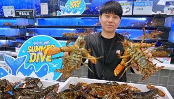 롯데마트, 캐나다산 활랍스터 15만마리 푼다…최대 반값