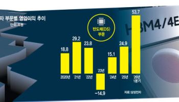 삼전 분사론 살펴보니…"DS·DX 사내 계급화" vs "지배구조 재편 부담"