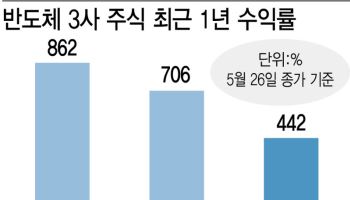 삼전 수익률, 메모리 3사중 꼴찌… DS 분리땐 1.4배 뛸 것
