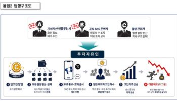 코인 인플루언서 주도…'밈 코인' 만들어 4억원 '꿀꺽'