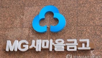 금융당국 골머리 새마을금고, 외부 상근감사로 금융사고 리스크 해소할까