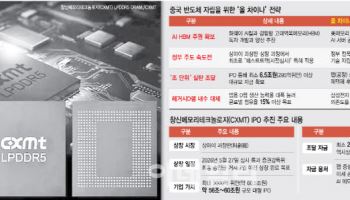 中 창신메모리 상장 초읽기…美봉쇄 맞서 반도체 독자 생태계 구축 잰걸음