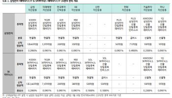 삼전·닉스 단일종목 레버리지, 이름 같아도 속은 달라요