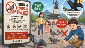 비둘기 먹이 주면 과태료…집중단속 지역은?