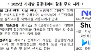 AI·고가치 공공데이터 25개 개방한다…AI 기업 육성 박차