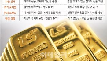 달러 무기화 회피, 美 국채 불신 확산…"믿을 건 金뿐"