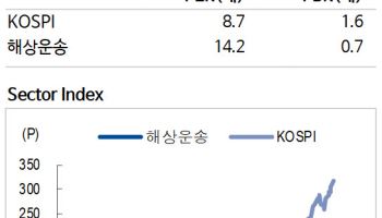 "BDI·SCFI 연중 최고…견조한 수요에 해운 운임 강세"