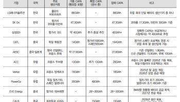 “중국산 배터리 빈자리, 韓 2차전지가 채운다”