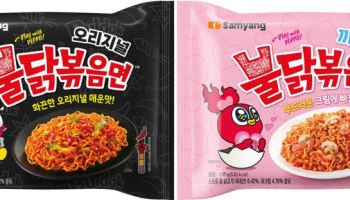 삼양식품 '불닭' 100억개 팔렸다…새 캐릭터 '페포' 국내 첫선