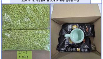 마약 검사 2차 저지선 첫 성과…국제우편 밀수 수거책 구속기소