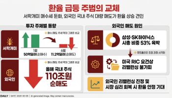 환율 급등 원흉, 서학개미서 외국인으로 바뀌었다