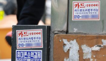 금감원, 대부업·대부중개사이트 10개사 일제검사