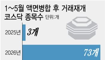 "일단 피하자"…액면병합 20배 늘어