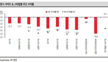 “갑자기 싸해진 증시…AI 랠리, 이번 주가 고비”