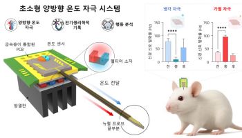 온도 조절로 뇌 활동 양방향 제어하는 혁신적 뇌 임플란트 개발