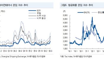 후티 공격 재개에 해상운송 긴장…“컨테이너보다 탱커 운임 영향”