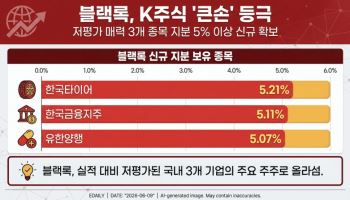 K주식 쇼핑 나선 블랙록…밸류 매력 부각에 '사자'