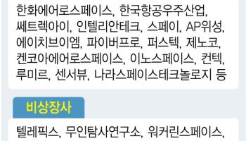 스페이스X IPO, 우주산업 판 바꾸나…“AI 데이터센터 경쟁 시작됐다”