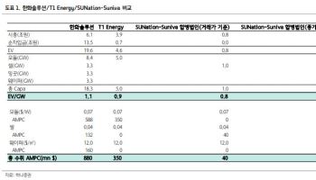“미국선 태양광 신고가인데…급락한 韓 태양광주 ‘매수 기회’”