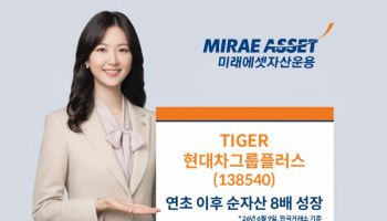 TIGER 현대차그룹플러스 ETF, 연초 이후 순자산 8배 ‘껑충’