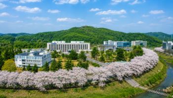 삼전 제품 구매하고 전통시장 장도 보고 '일석이조'