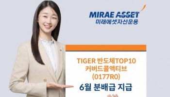 'TIGER 반도체TOP10커버드콜액티브' 6월 분배금 주당 215원
