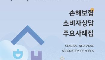 손보협회, '소비자 상담사례집' E-Book 발간…정보 접근성 강화