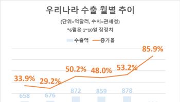 6월 들어서도 반도체발 수출 고공행진…열흘간 역대최대