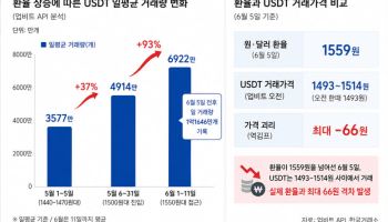 환율 뛰자 테더 거래 93% 급증…가격은 되레 '逆김치프리미엄' 확대
