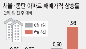 서울보다 더 뜨거운 '분당·동탄·광명' 집값 어디까지 갈까 [손바닥 부동산]