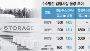 수소발전 보급량 30% 줄이는 정부...수소경제 생태계 후퇴 논란