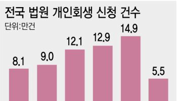 회생신청 5.5만건 '역대 최대'…법원 전문성 편차 해소 시급