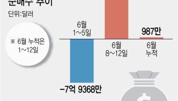 美 주식 다시 담는 서학개미…지난주 SOXL에만 2.7조 몰렸다