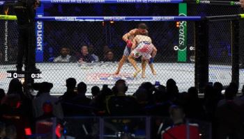 백악관 잔디밭서 트럼프 80세 생일잔치 'UFC 경기'