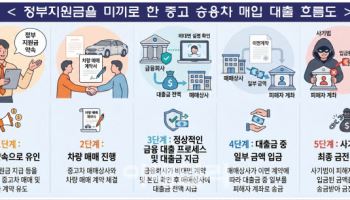 "차값 대신 내준다더니 잠적"…고령층 수천만원 대출사기 비상