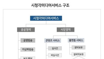 최민희, ‘통합미디어법’ 발의…OTT·유튜브까지 하나의 규제체계로