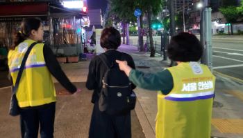 "귀갓길 든든했는데"…안심귀가서비스 13년 만에 멈춘다