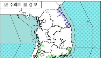 강원·울릉도 호우, 전국 해안 강풍, 전 해상 풍랑주의보…동시다발 기상특보 발효