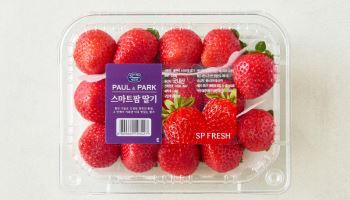 "기후변화에도 끄떡"…롯데마트, 대관령 시금치·스마트팜 딸기 판매