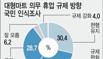 “온라인에 치여 공멸 위기…마트 규제보다 시장과 공생이 답”