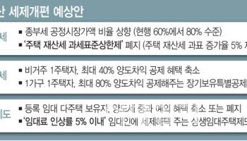 공정가액비율 상향, 재산세 5% 상한 폐지…'보유세 인상 패키지' 예고