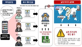 "최고 5배 수익률" 현혹해 투자금만 '쏙'…금감원 소비자경보 발령
