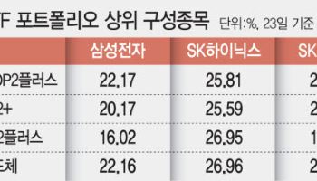 "삼전닉스만으론 부족해"…반도체 ETF, SK스퀘어 편입 러시