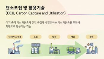 CO₂를 항공유·선박연료로…LG화학·포스코 참여 ‘CCU 메가프로젝트’ 본격 시동