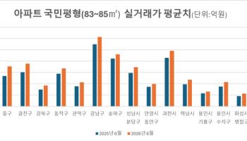 강남 국민평형 평균 30억 시대…1년 새 12%↑